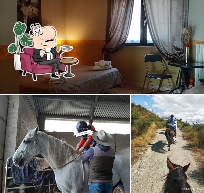 Dai un'occhiata agli interni di B&B Agriturismo la vecchia fattoria pignola