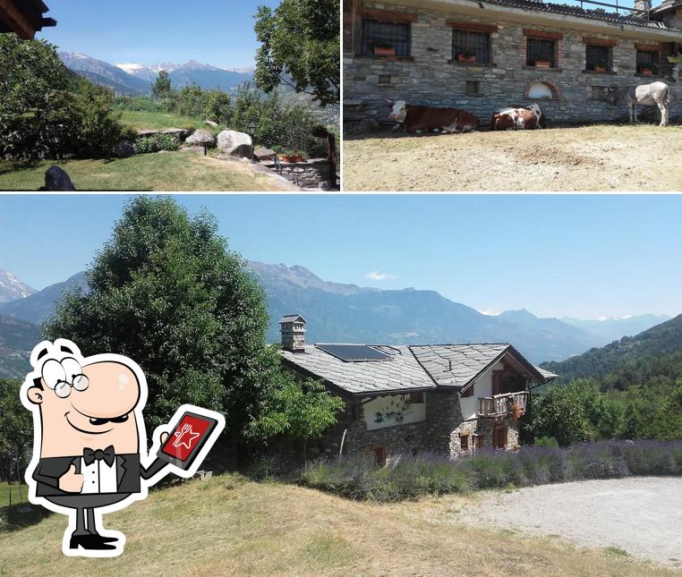Guarda gli esterni di Mont Rosset