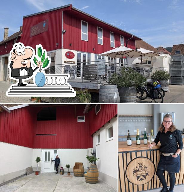 Bianca's Gastro im Weingut Johner
