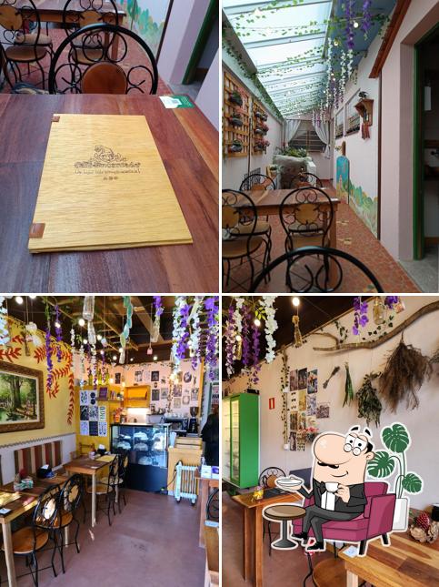 Café Encantado • Curitiba