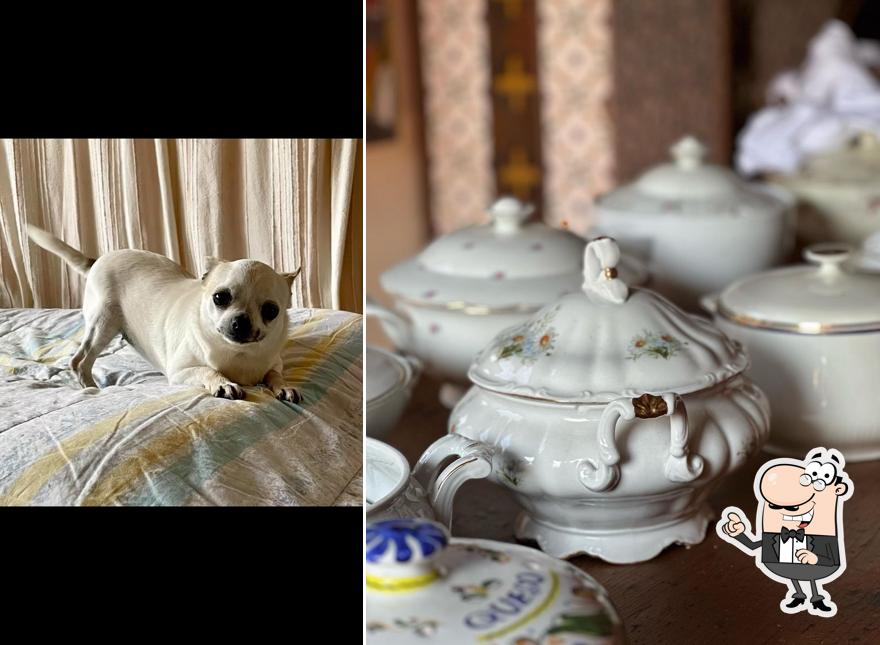 Gli interni di Azienda Agrituristica La Quercia