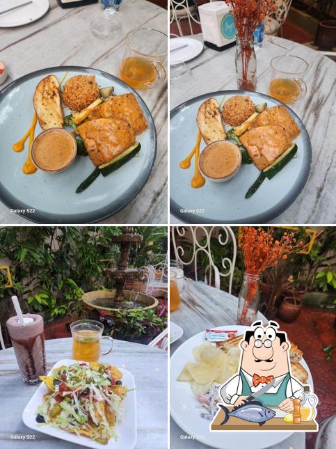 Grilled salmon at Zoey's Koramangala: Good Vibes Only