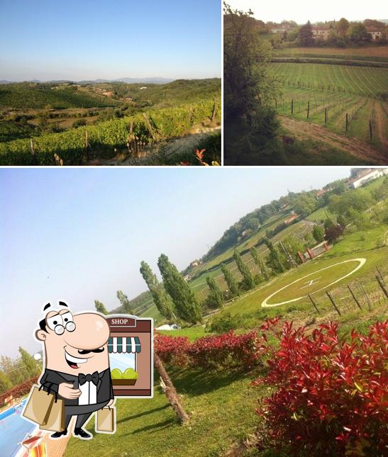 Goditi la vista dagli esterni di Villa Pallavicini