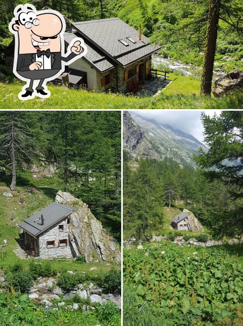 Curiosa tra l'area esterna di Alpenbrunch