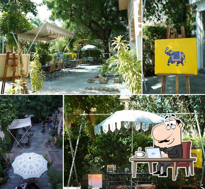 Check out how Nutmeg cafe pushkar looks inside