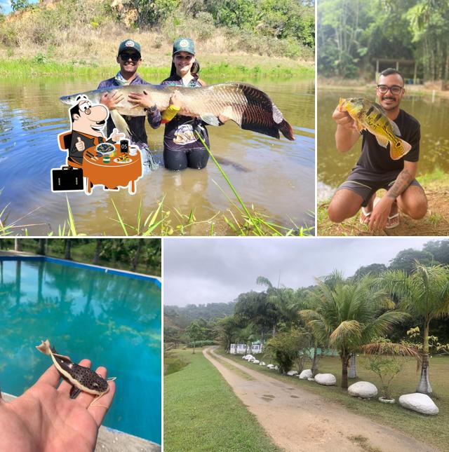 Pesqueiro Amigos e Irmãos - Meu Xodó -