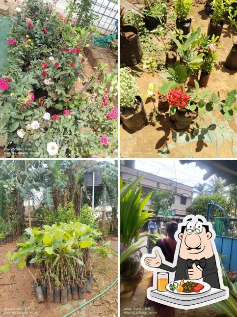 RR ஐயங்கார் பேக்கரி @நர்சரி GARDEN THANJAVUR, ALL PLANT AVAILABLE