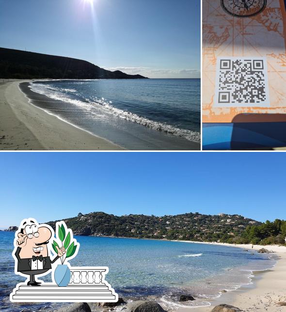 Guarda gli esterni di andycoc e il Moro Guarda gli esterni di andycoc e il Moro