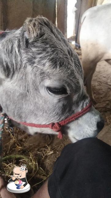 Katta Paina Hotel ( Hotel Ravi ) , Special Dosa Center serves a range of desserts