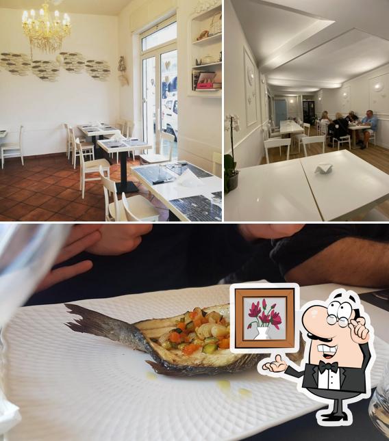 Dai un'occhiata agli interni di Porca Miseria