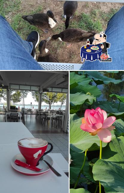 Sashimi al Società Canottieri Mincio