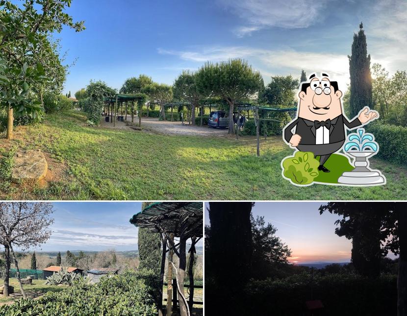 Guarda gli esterni di La Serra del Pino - Agricampeggio