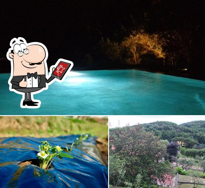 Gli esterni di Ristorante Prato Verde Holiday Prato Verde