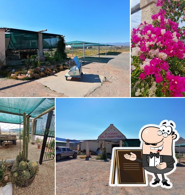 L'extérieur de Elnatan Calitzdorp Fruit