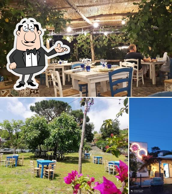 Dai un'occhiata agli interni di La Casa di Amelia