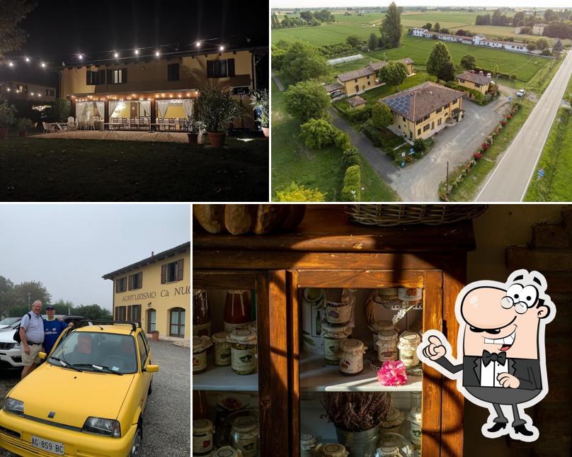 Curiosa tra l'area esterna di Agriturismo Ca’ Nuova