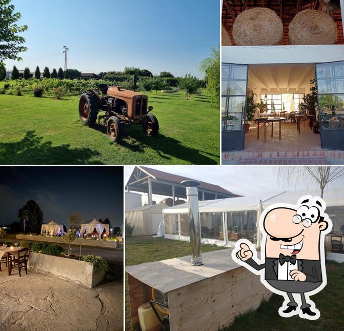 La Macina Agriturismo