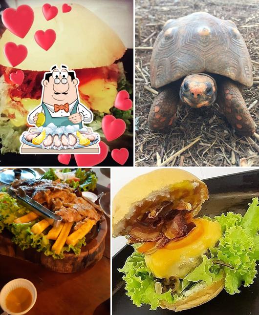 Restaurante Boteco do Zenatti - Área Kids, Mini Zoológico, Deck, Música ao Vivo e Churrascaria - Araraquara
