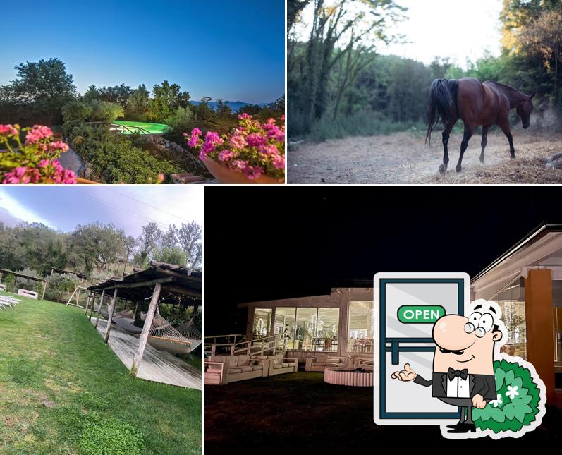 Guarda gli esterni di La Pampa Relais & Spa