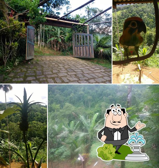 Bar do Cícero - Carrasquinho