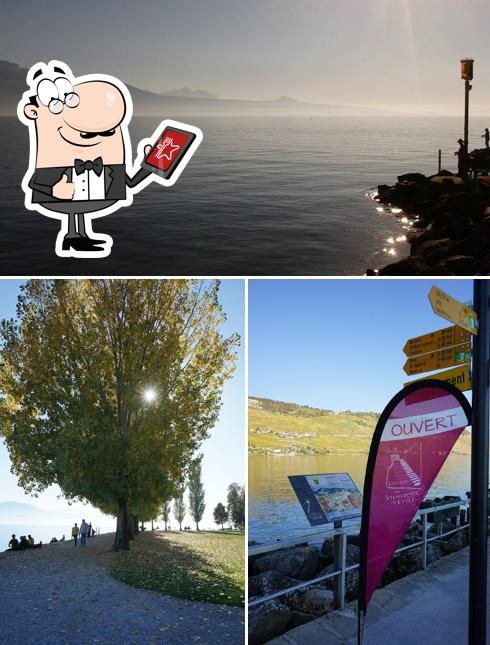 Guarda gli esterni di Au Caveau Des Vignerons