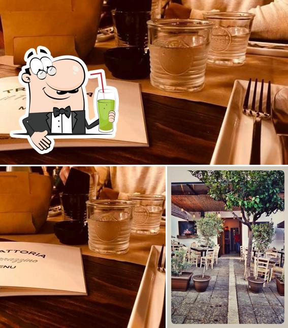 Trattoria Il Terrazzino