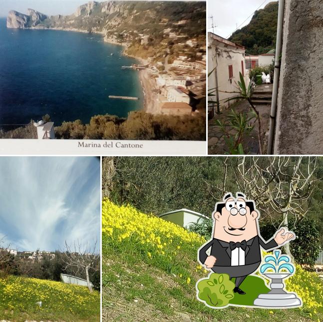 Guarda l'area esterna di The Welcome Cafe
