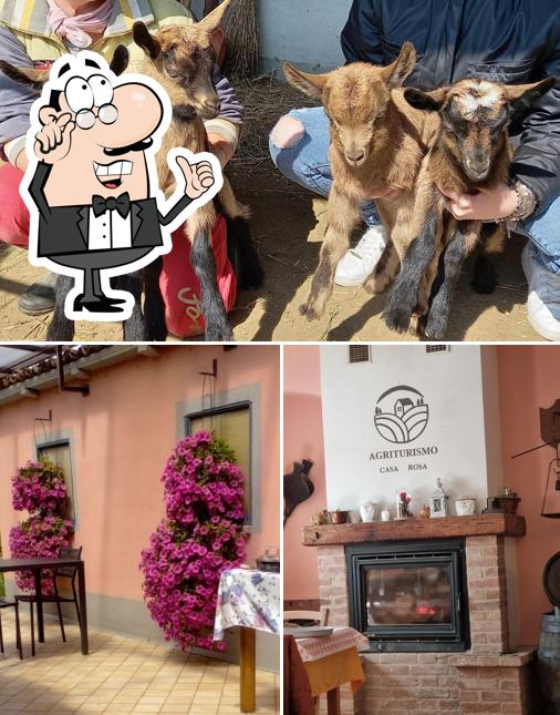 Dai un'occhiata agli interni di Casa Rosa