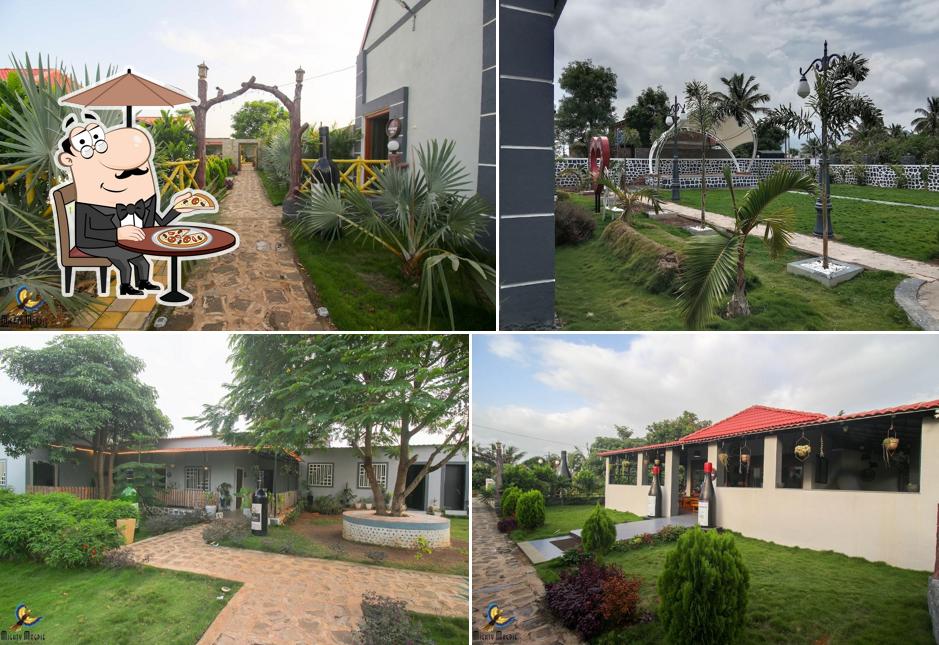 Check out the outside area of Grapessy Vineyards Agro Tourism
