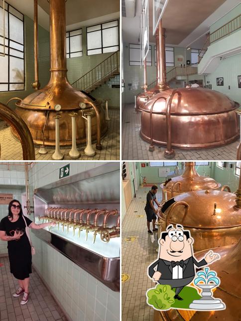 Desfrute da vista da área externa do Complexo Bohemia