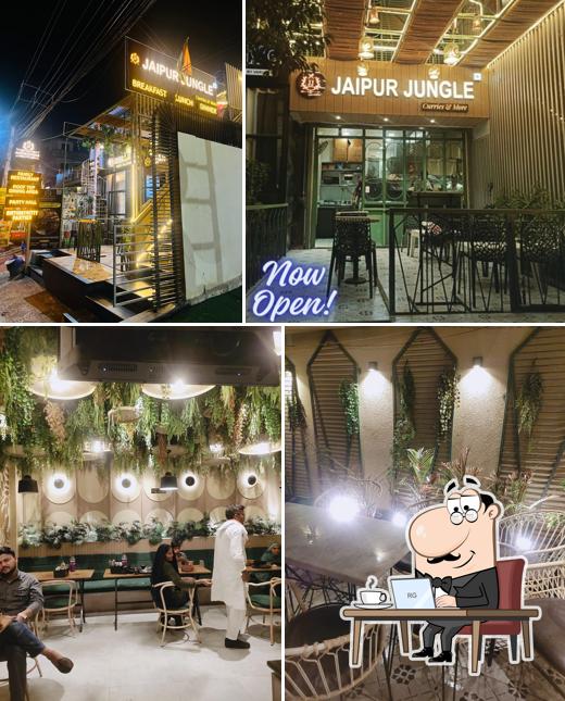 Check out how Jaipur Jungle looks inside