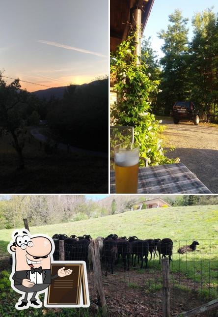 Gli esterni di Ristorante Pizzeria Podere Casanuova