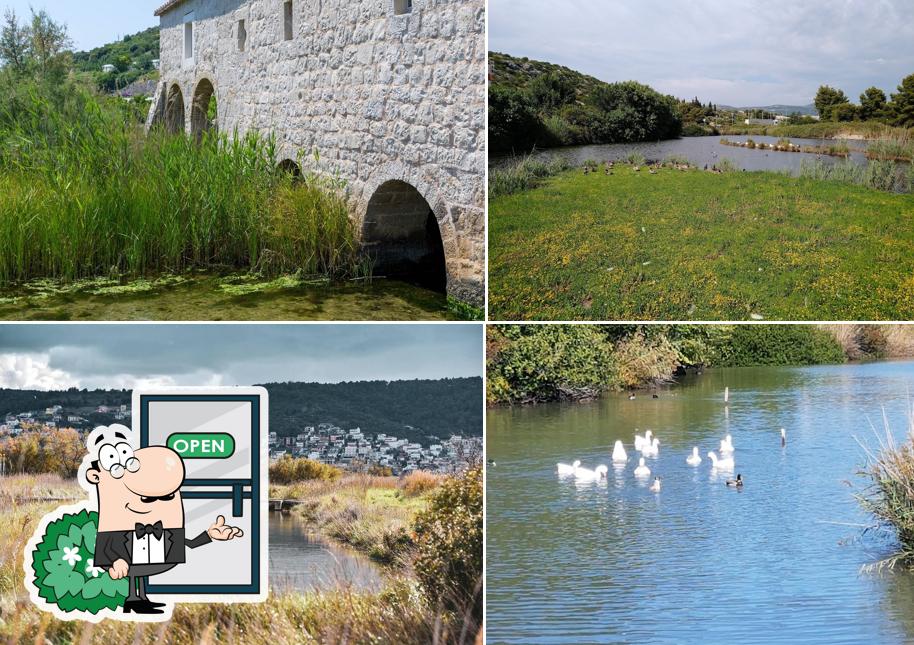 L'area esterna è una caratteristica importante di Mlinice Pantan