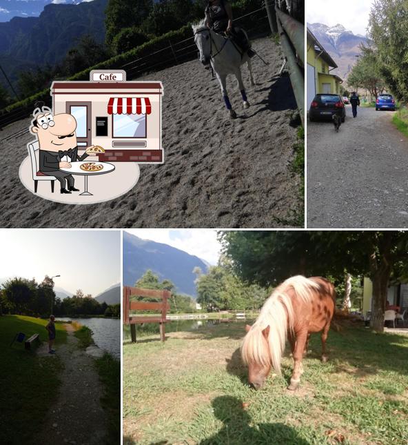 Puoi goderti l'aria fresca dal dehors di ASD Lago Ronka