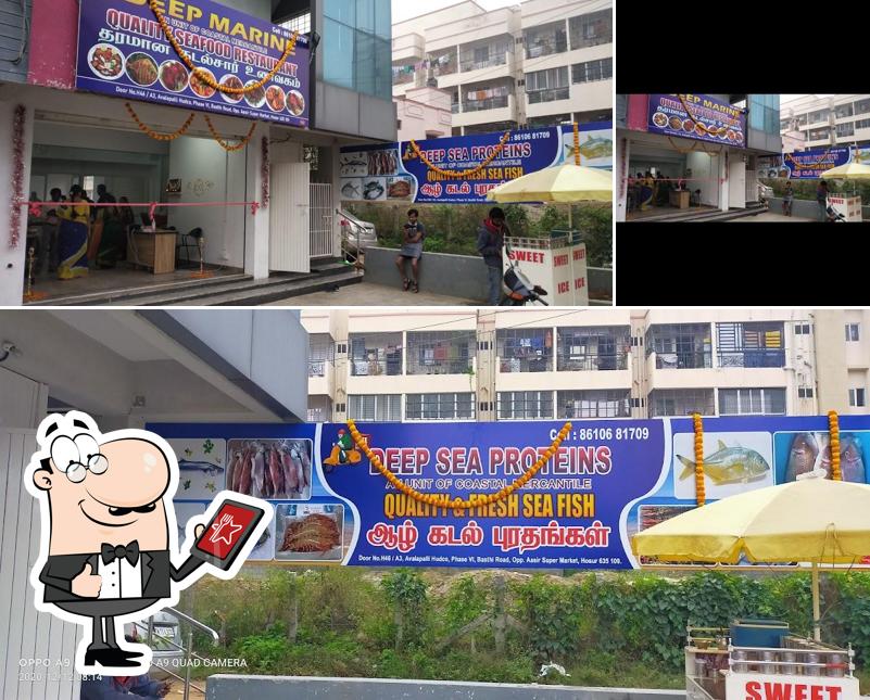 Check out how Deep Marine Sea Food Restaurant and Deep Sea Proteins Fresh Sea Fish looks outside