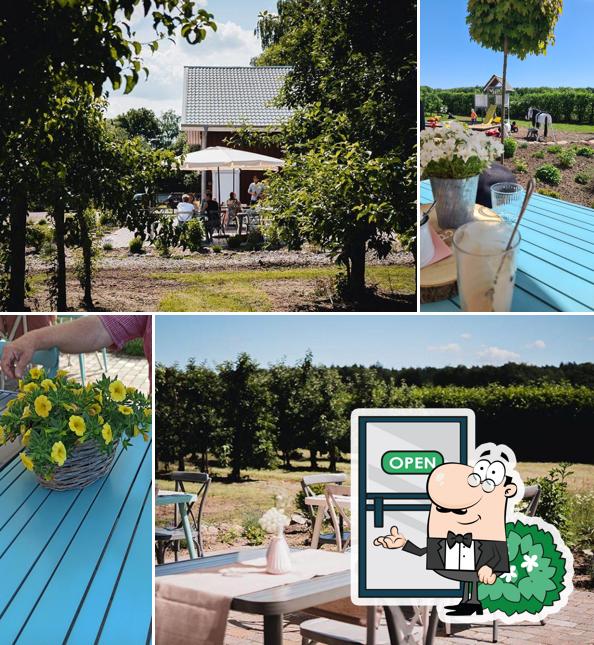 Profitez de la vue de l'espace ouvert de Hofcafé Viets