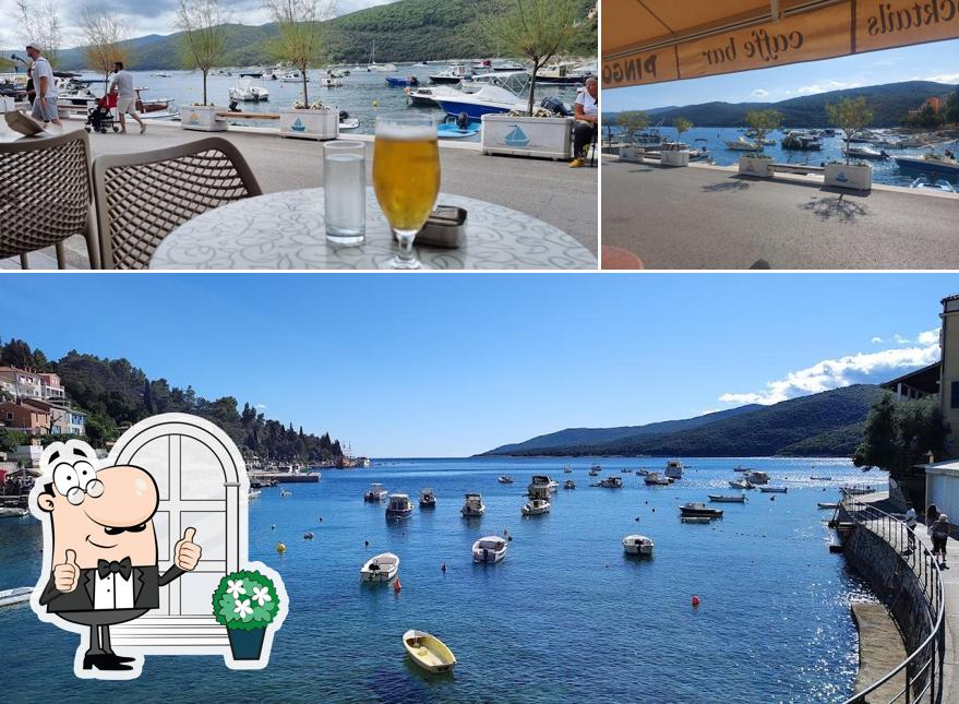 Questa è la immagine che presenta la esterno e interni di Pingo 1 Ice Cream