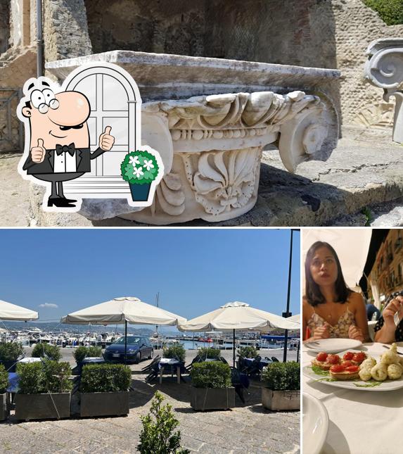 Guarda la parte esterna di Nudibranko