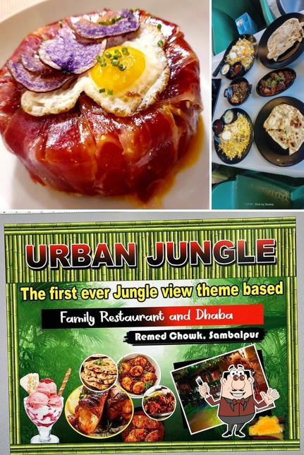 Food at URBAN JUNGLE FAMILY RESTAURANT & DHABA