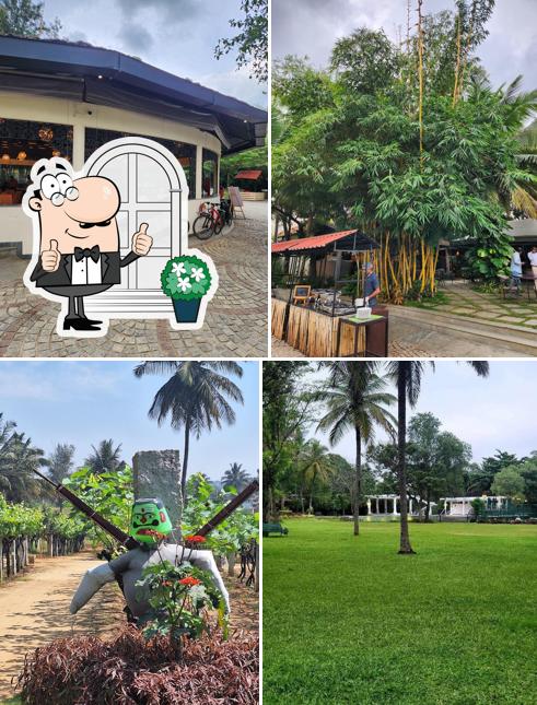 Check out how Ranch at Big Banyan Vineyard & Resort looks outside