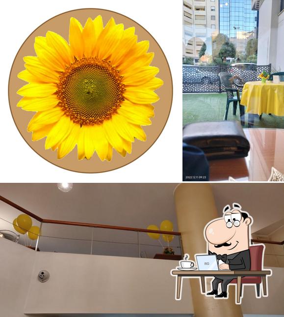 Gli interni di Bar Girasole