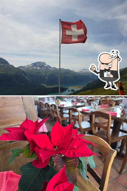 Gli interni di Trutz