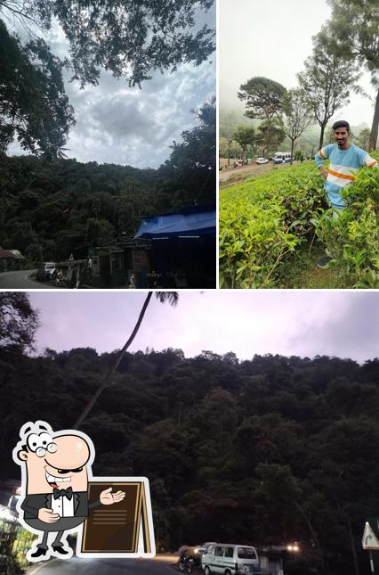 Enjoy the view outside Burliyar Tea Spot
