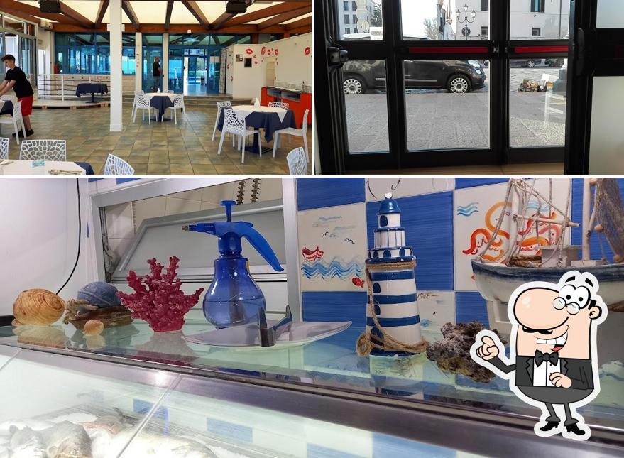 Gli interni di Lupo di Mare