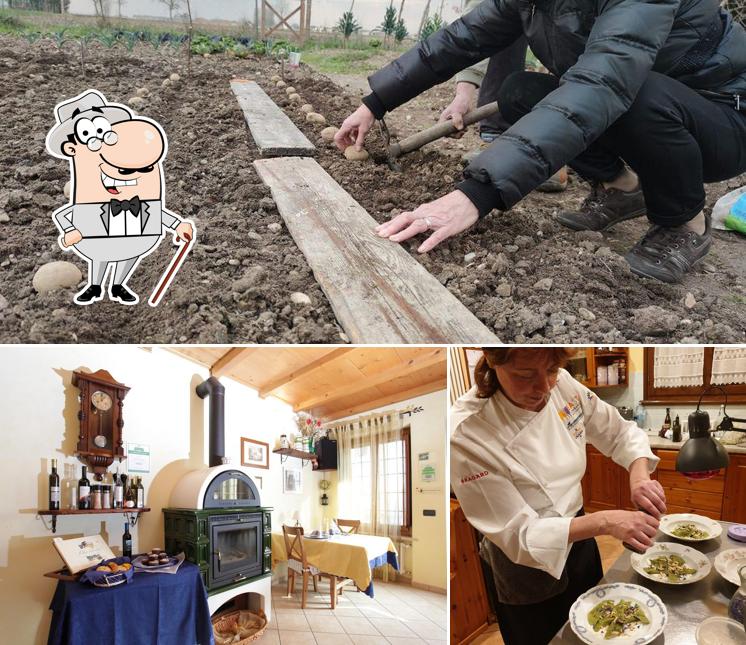 Puoi goderti l'aria fresca da seduto all'esterno di Agriturismo Eliodoro
