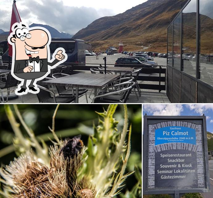 Gli interni di Piz Calmot