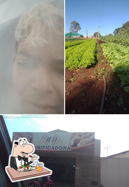 Panificadora Nd