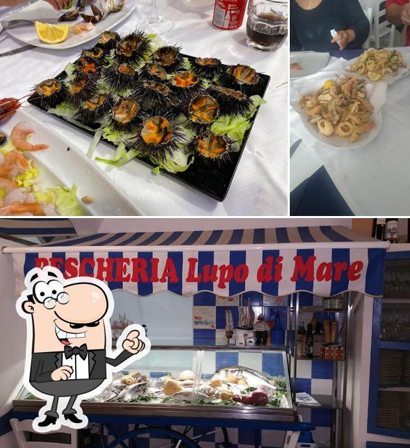 Dai un'occhiata agli interni di Lupo di Mare