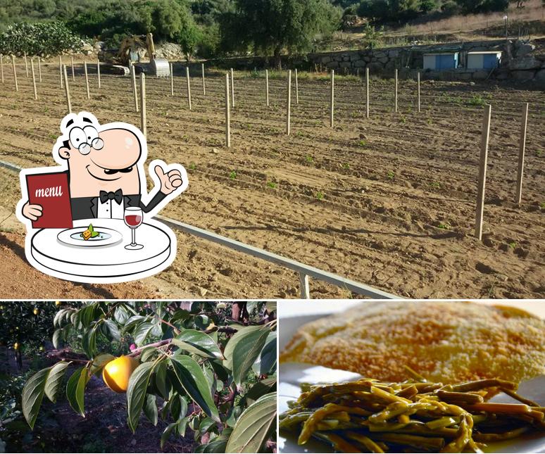 Platti al Agriturismo Su Solianu
