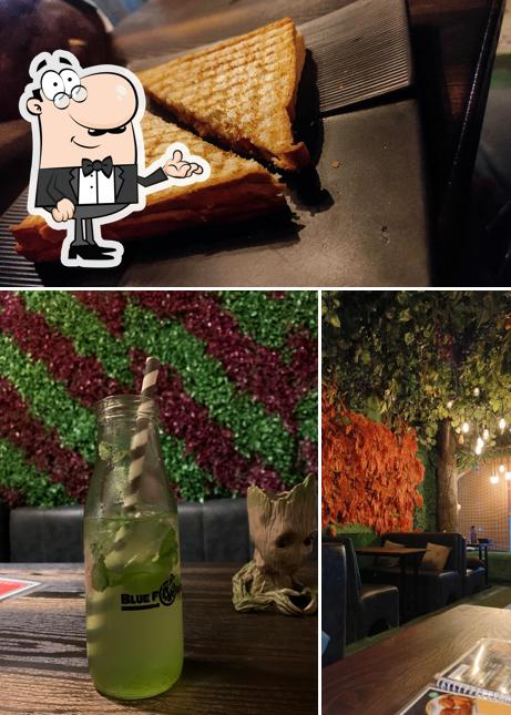 The interior of BLUE FOREST CAFE